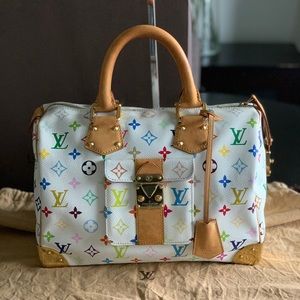Louis Vuitton multicolor speedy 30